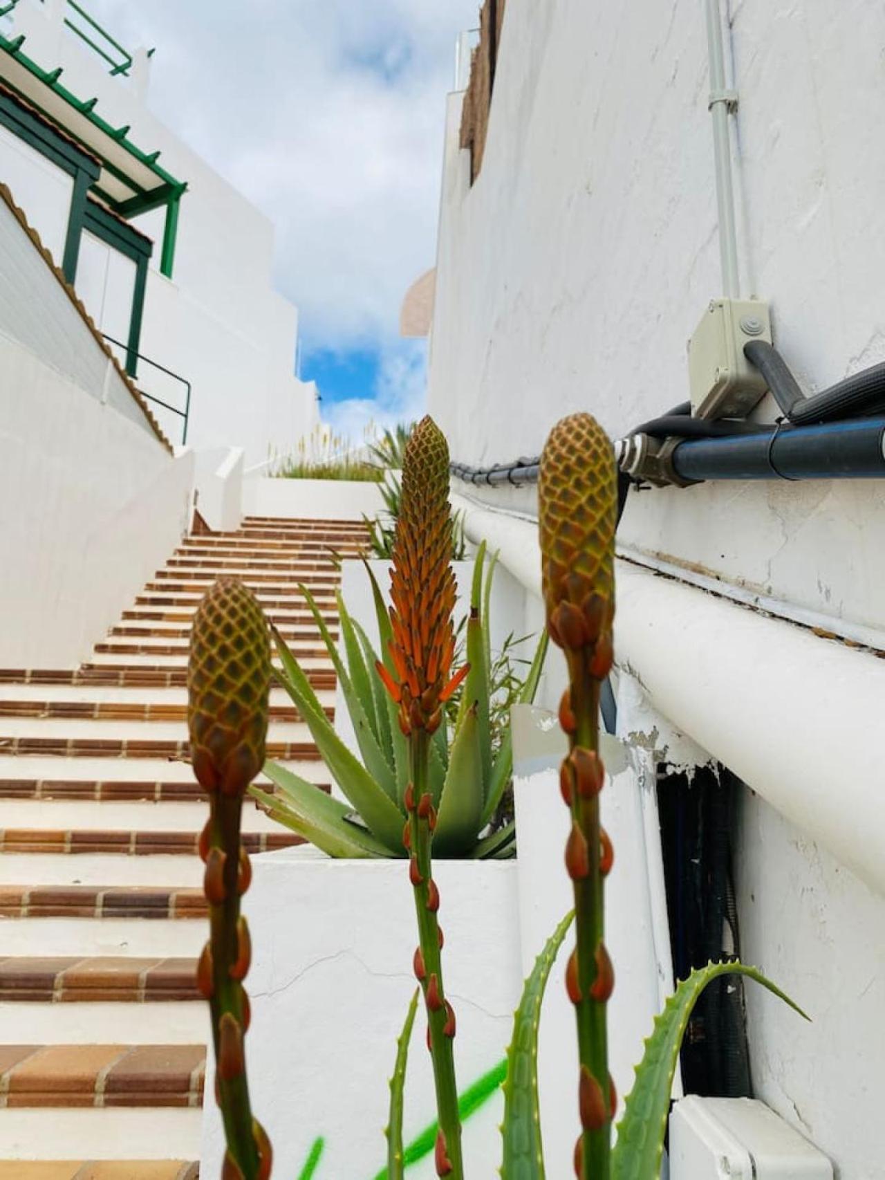 Tenerife.365 Atalaya Court II Sunset Ocean View Costa Adeje  Exterior foto